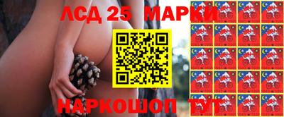 крисы Ирбит