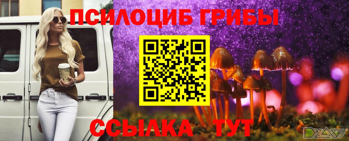 Керчь  Галлюциногенные грибы Psilocybine cubensis  Вход с VPN 